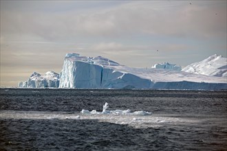 Individual pieces of ice in front of icebergs in the sea