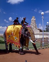 Caparisoned and Painted Elephant