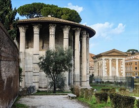 Left Temple of Hercules Olivarius