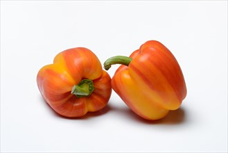 Yellow-red coloured peppers (Capsicum)