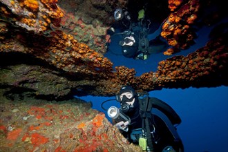 Diver looking at and illuminating yellow crustose anemones (Parazoanthus axinellae) and reflected in air bubble in underwater cave ceiling