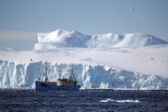 Fishing boat in front of huge icebergs