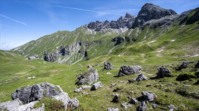 Rocks on an alpine meadow