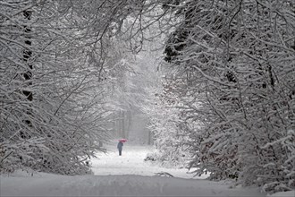 Woman with red umbrella trudging through winter landscape in forest