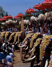Caparisoned Elephants with eyecatching colorful umbrellas in Pooram Festival at Thrissur