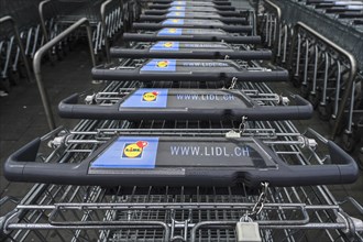 Lidl shopping trolley