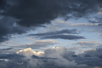 Cloud formation cumulus cloud (Cumulus)