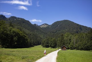 Hiker on the path from Schwarzensee to Moosalm Municipality of St.Wolfgang