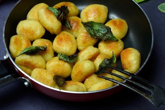 Fried potato gnocchi with sage leaves in pan