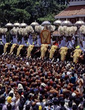 Spectators surrounding the elephants procession in pooram festival at Thrissur