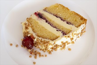 Plate with piece of cake