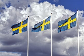 Three Swedish flags