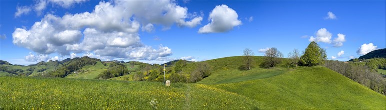 Hiking signpost in summer landscape