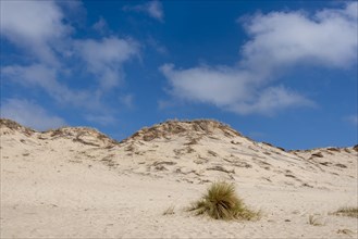 Sand dune on the Bay of Biscay