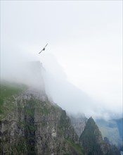 Beinisforo cliff with bird