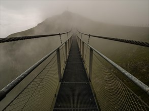 Suspension bridge in the fog