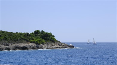 Sailboats in the sea on the coast