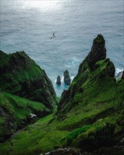 Greened Beinisforo Cliffs with Bird in the Air