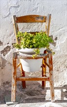 Wooden chair with flower box