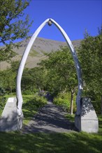 Whale bones as entrance gate at Skruour botanical garden