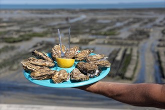 Man holding tray of fresh oysters