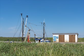 Mast superstructure of a crab cutter in the natural harbour