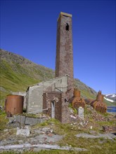 Ruin of a whaling station