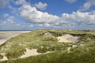 Marginal dunes near Norddorf
