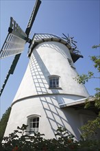 Windmill Betty