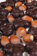 Chocolate covered hazelnuts