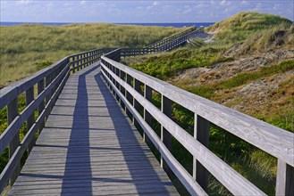 Boardwalk through the dunes to the beach of Kampen