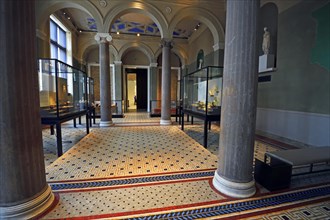 Showcases and exhibits