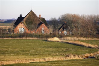 Historic Eiderstedter Haubarg