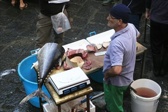 Catania Fish Market