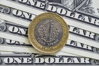 US dollar and Turkish lira