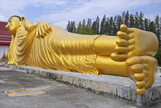 Lying golden Buddha