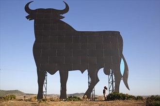 Woman looking at bull silhouette