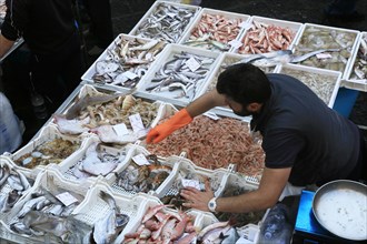 Catania Fish Market