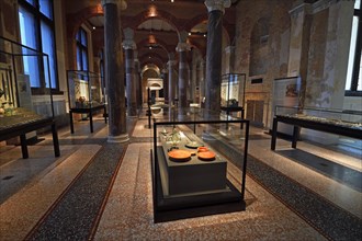 Exhibits and showcases