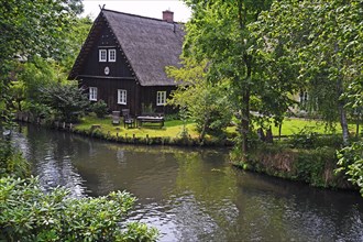 Farmhouse and idyllic rivers in the village of Lehde