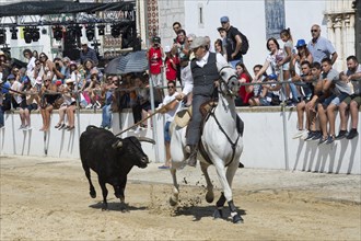 Wild bulls run and are led by riders in the streets