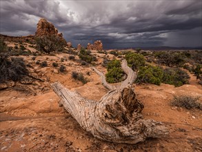 Thunderclouds over rock formations of the Windows Selection