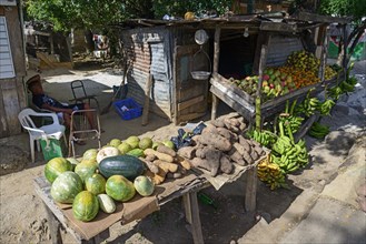 Fruit stand at El Seibo