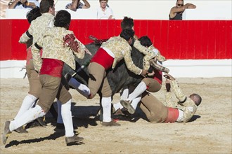 Bullfight in Alcochete
