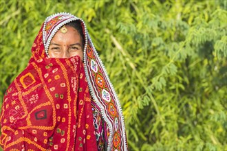 Veiled Ahir woman in traditional colourful cloth