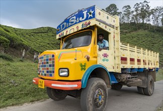 Colourful truck