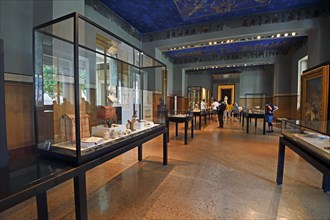 Showcases and exhibits