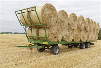 Trailer with straw bales