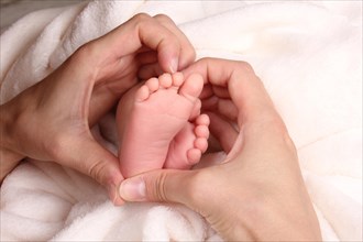Hands embrace baby feet
