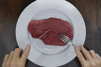 Raw steak on plate